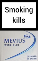 Mevius Wind Blue Cigarettes